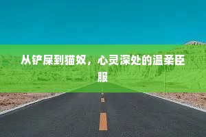从铲屎到猫奴，心灵深处的温柔臣服