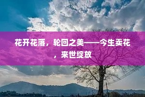 花开花落，轮回之美——今生卖花，来世绽放