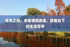 叹息之间，幸福悄然逃逸，紧握当下的生活哲学