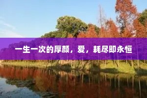 一生一次的厚颜，爱，耗尽即永恒
