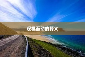 观机而动的释义