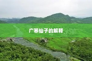 广寒仙子的解释