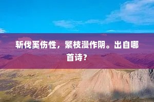 谁道谷城黄石，混迹长安紫陌，九万里培风。的释义