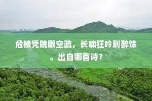 诸葛战争馀故垒，隗嚣宫殿成荒丘。的释义