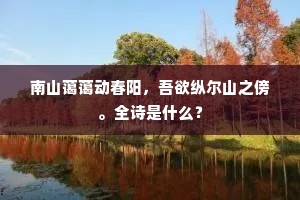 忍看转瞬人天隔，愿乞来生父子情，上一句是什么？