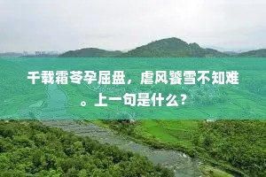 铸金多作泪，埋玉又成尘。上一句是什么？