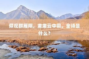 月照纸衾浑是雪，道人身在白云中。的释义