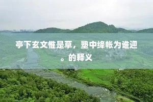 无聊甚，瓶花影里，独自持觞。出自哪首诗？