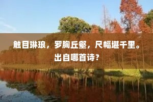 添怊怅，骊歌唱罢，鸿雁难行。的解释