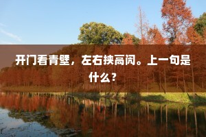 寂寞绿窗深夜雨，伤心不独有梧桐。的解释
