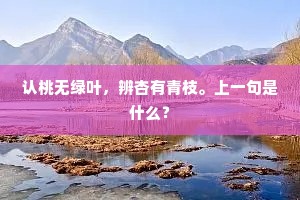 挂壁凉飔镇日秋，坐卧青云眄银汉。的意思及出处