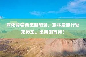 龙章凤函的成语解释