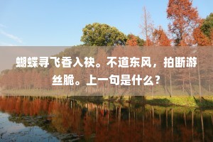 风停花入定，雁过水无尘。全诗是什么？