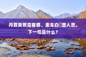 漏洞百出的解释