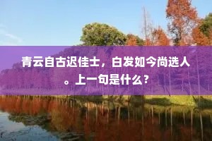 梁栖玳瑁鸳鸯叫，障罗翡翠芙蓉笑。的意思及出处