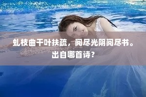 鲁莽灭裂的解释