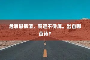鲁阳挥戈的释义