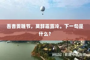 鲁阳回日的释义