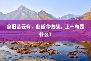 鲁鱼亥豕的解释