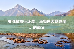 经年不归去，化作山头石。的释义