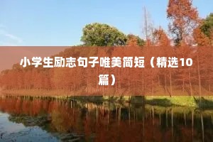 正能量励志干净短句 二