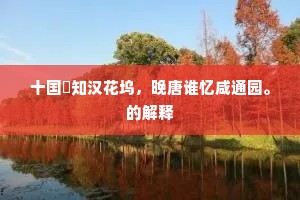 绿林强盗的解释