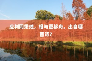 碧空云净石坛清，自启琅函拜月明。的解释