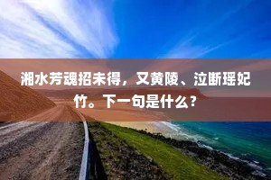双凤失其俦，孤鸾悲鸣矣。的解释