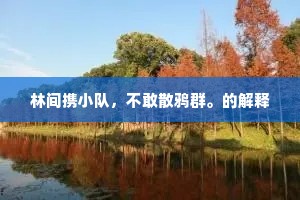 谪官嵩山阳，山深意不俗。的解释