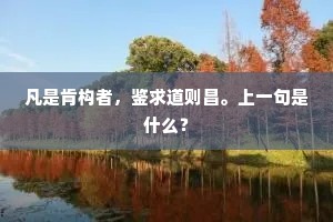 履险蹈危的成语解释 履险蹈危的成语解释