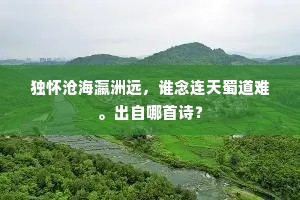 荆玉终无玷，随珠忽已弹。的意思及出处