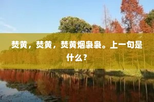 轩乎绮飏，锡极汝皇。的解释