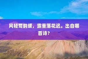 和议是，塞外蒙尘走天子。全诗是什么？