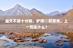 万里沧江生白发，几人灯火坐黄昏？上一句是什么？