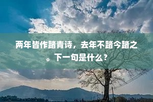 七人来者六，一岁至甫再。全诗是什么？