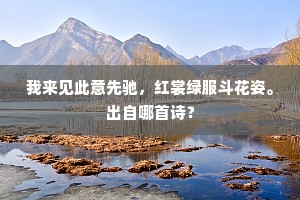 鳞鳞风漪来，动荡日光碎。的释义