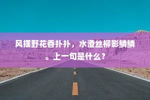 离忧七载忽相见，忽问萍踪意苦辛。下一句是什么？