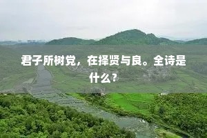 一颗头颅一杯酒，南山猿鹤北山莱。的解释