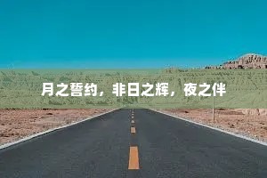 月之誓约，非日之辉，夜之伴