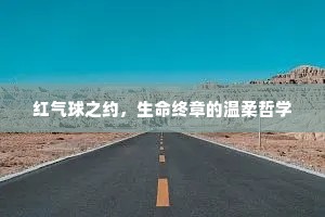 红气球之约，生命终章的温柔哲学