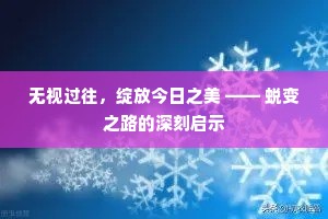 无视过往，绽放今日之美 —— 蜕变之路的深刻启示