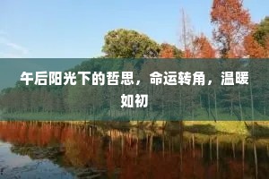 午后阳光下的哲思，命运转角，温暖如初