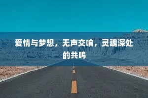 爱情与梦想，无声交响，灵魂深处的共鸣