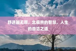 舒适圈无罪，北极熊的智慧，人生的自洽之道