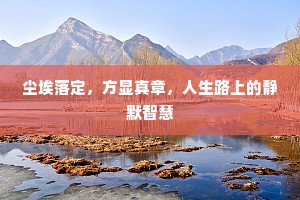 尘埃落定，方显真章，人生路上的静默智慧