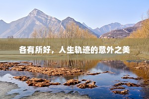各有所好，人生轨迹的意外之美