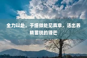 全力以赴，于细微处见真章，活出养精蓄锐的锋芒