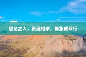 想见之人，灵魂相依，孤旅成双行