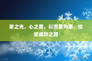 家之光，心之盾，以苦累为墨，绘就成功之路
