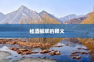 桂酒椒浆的释义
